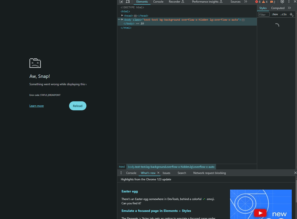 error displaying webpage: error code STATUS_BREAKPOINT